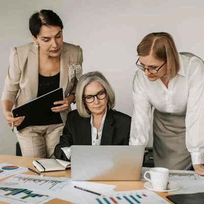 Expertise in IT-Projektmanagement